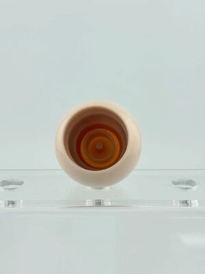 Warm te koop 20 mm 24 mm Schroefkap Ballen Fleskap