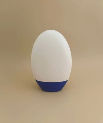 Wit glad plastic flesje met blauw deksel voor shampoo
